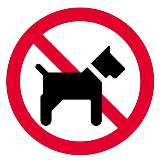 hund forbudt